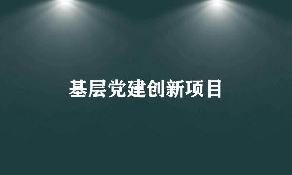 基层党建创新项目