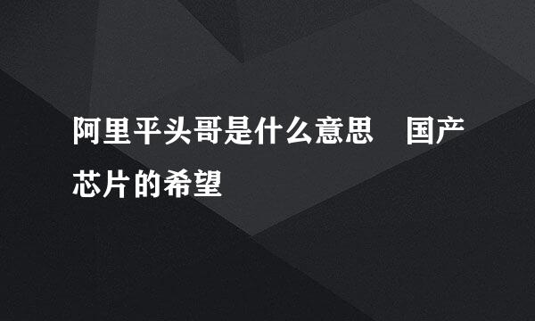 阿里平头哥是什么意思 国产芯片的希望