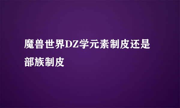 魔兽世界DZ学元素制皮还是部族制皮