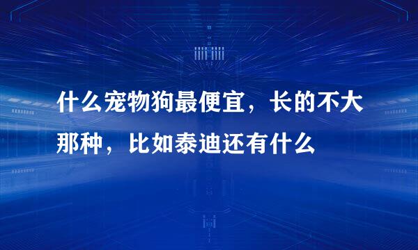 什么宠物狗最便宜，长的不大那种，比如泰迪还有什么