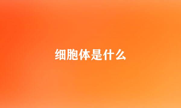 细胞体是什么