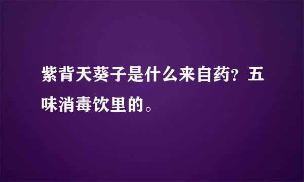 紫背天葵子是什么来自药？五味消毒饮里的。