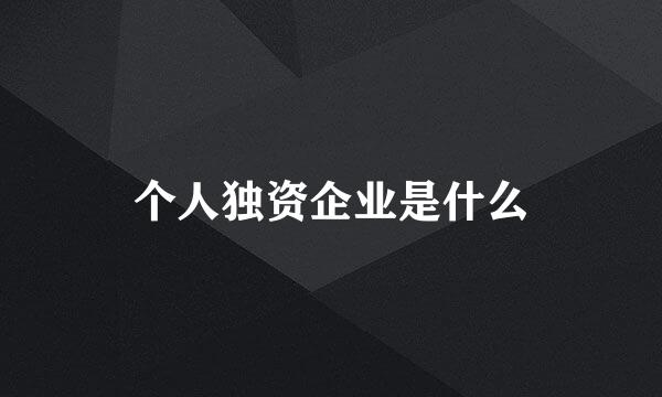 个人独资企业是什么