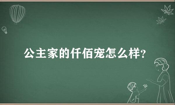 公主家的仟佰宠怎么样？