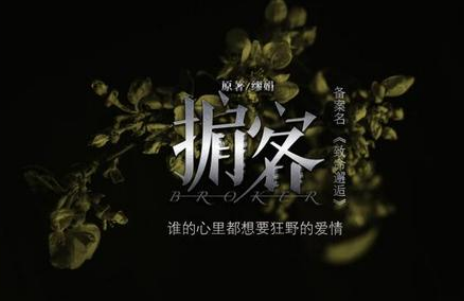 掮客电视剧上映时间是哪会？