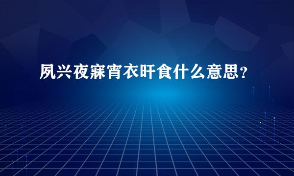 夙兴夜寐宵衣旰食什么意思？