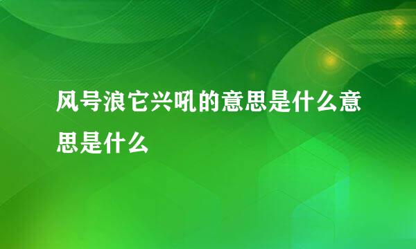 风号浪它兴吼的意思是什么意思是什么