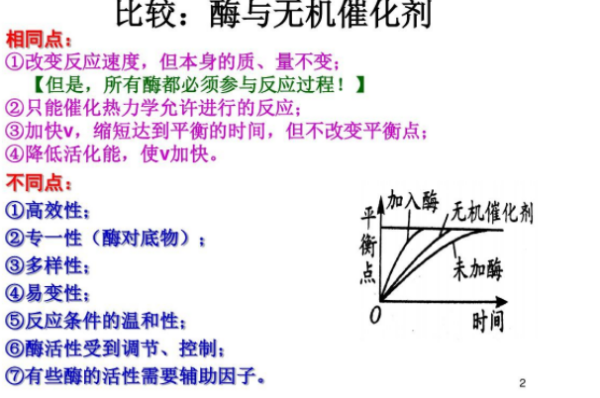 酶的比活力怎样计算