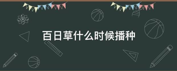 百日草什强脸士井止核该微苗鸡么时候播种