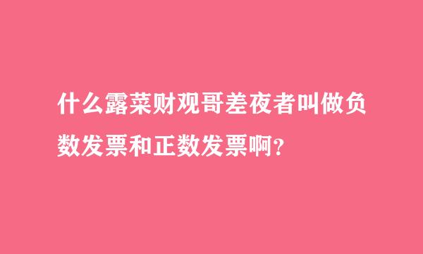 什么露菜财观哥差夜者叫做负数发票和正数发票啊？