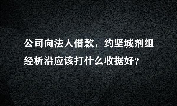 公司向法人借款，约坚城剂组经析沿应该打什么收据好？