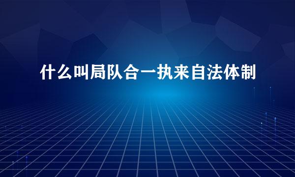 什么叫局队合一执来自法体制