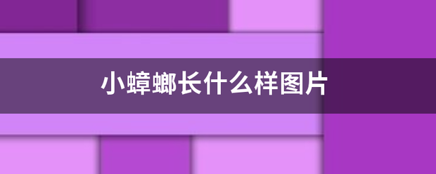 小蟑螂长什么样图片