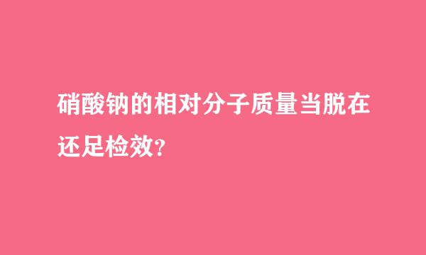 硝酸钠的相对分子质量当脱在还足检效？