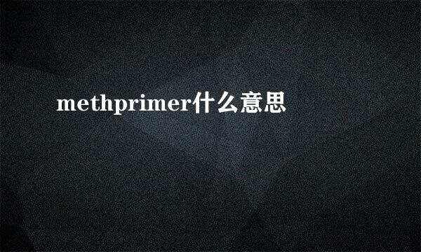 methprimer什么意思