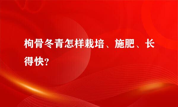 枸骨冬青怎样栽培、施肥、长得快？