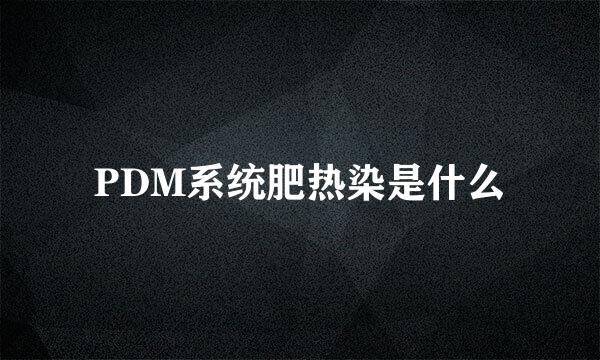 PDM系统肥热染是什么