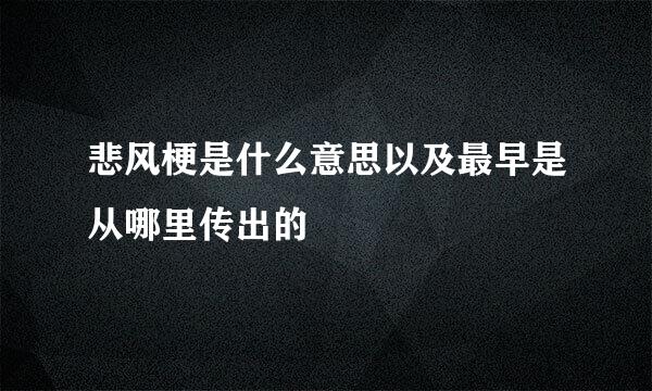 悲风梗是什么意思以及最早是从哪里传出的