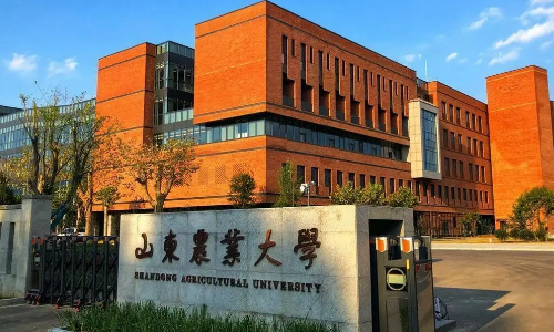 山东省属11所重点大学