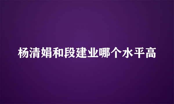 杨清娟和段建业哪个水平高