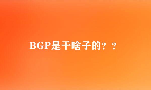 BGP是干啥子的？？