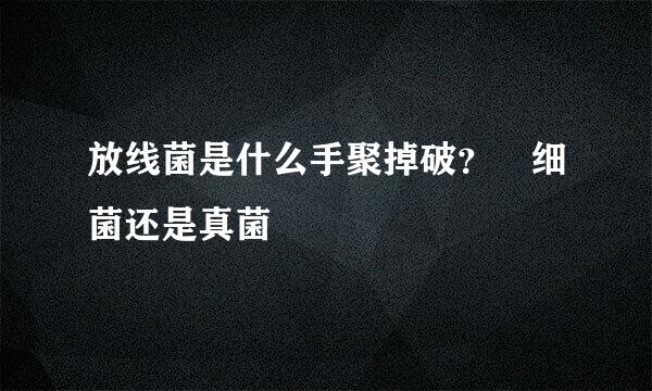 放线菌是什么手聚掉破？ 细菌还是真菌