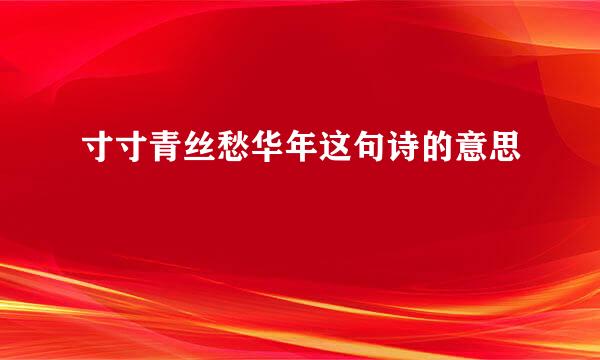 寸寸青丝愁华年这句诗的意思