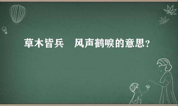 草木皆兵 风声鹤唳的意思？