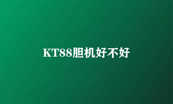 KT88胆机好不好