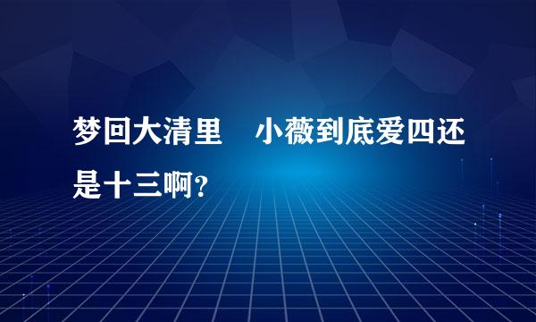 梦回大清里 小薇到底爱四还是十三啊？