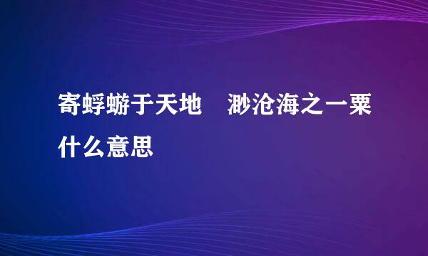 寄蜉蝣于天地 渺沧海之一粟什么意思