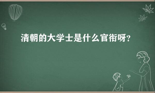 清朝的大学士是什么官衔呀？