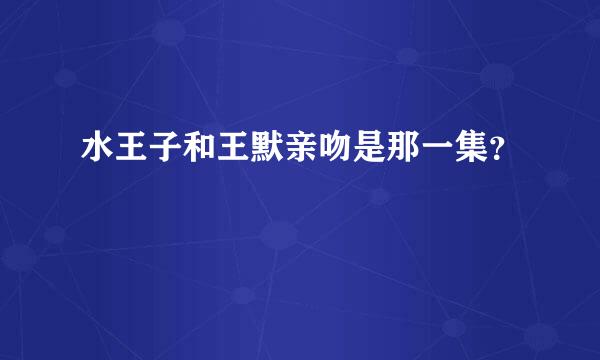 水王子和王默亲吻是那一集？