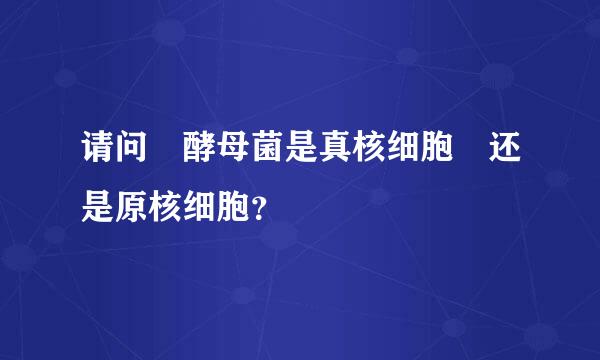 请问 酵母菌是真核细胞 还是原核细胞？