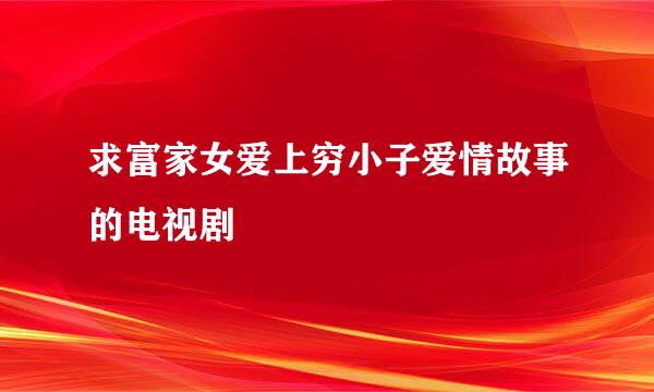 求富家女爱上穷小子爱情故事的电视剧