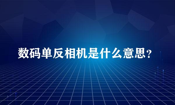 数码单反相机是什么意思？