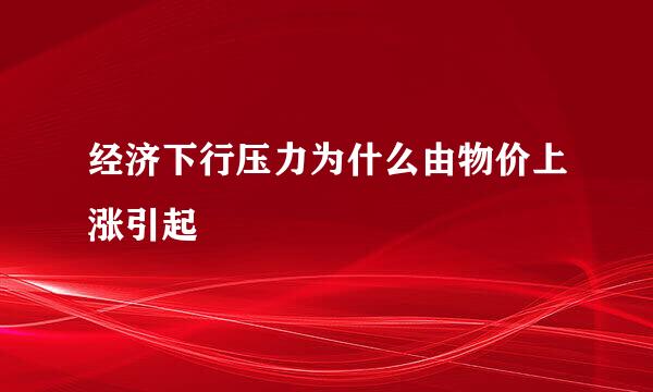 经济下行压力为什么由物价上涨引起