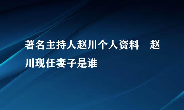 著名主持人赵川个人资料 赵川现任妻子是谁