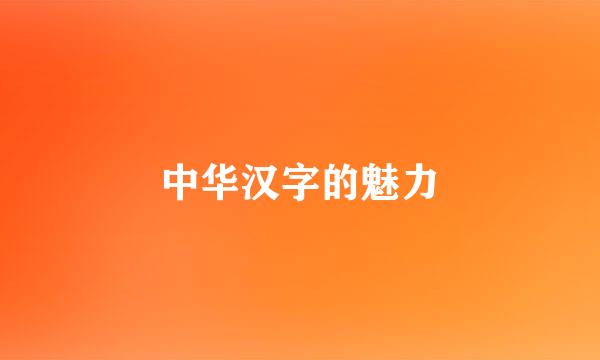 中华汉字的魅力