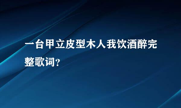 一台甲立皮型木人我饮酒醉完整歌词？