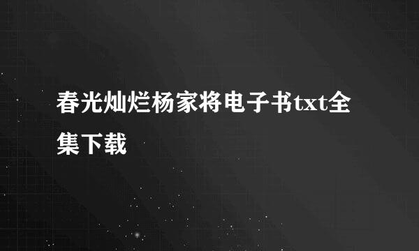 春光灿烂杨家将电子书txt全集下载