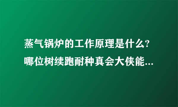 蒸气锅炉的工作原理是什么?哪位树续跑耐种真会大侠能告诉我啊?