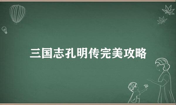 三国志孔明传完美攻略