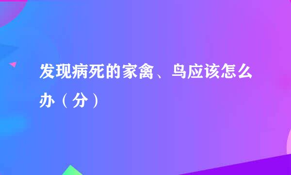 发现病死的家禽、鸟应该怎么办（分）