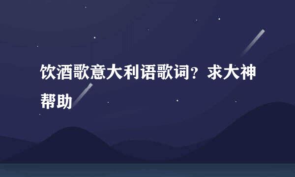 饮酒歌意大利语歌词？求大神帮助