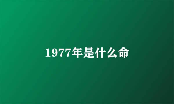 1977年是什么命