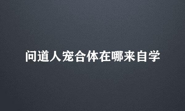 问道人宠合体在哪来自学