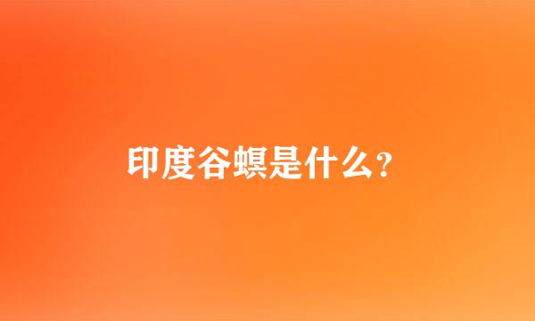 印度谷螟是什么？