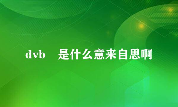 dvb 是什么意来自思啊