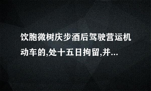 饮胞微树庆步酒后驾驶营运机动车的,处十五日拘留,并处()罚款件氢,吊销机动车驾驶证,五年内不得重新取得机动车驾驶证。